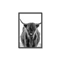 Picture of B&W Highland _GroupedProduct_Rectangle_Portrait_Photography _GroupedProduct_Rectangle_Portrait_Canvas_Framed_