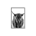 Picture of B&W Highland _GroupedProduct_Rectangle_Portrait_Photography _GroupedProduct_Rectangle_Portrait_Canvas_Framed_