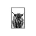 Picture of B&W Highland _GroupedProduct_Rectangle_Portrait_Photography _GroupedProduct_Rectangle_Portrait_Canvas_Framed_