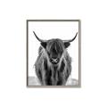 Picture of B&W Highland _GroupedProduct_Rectangle_Portrait_Photography _GroupedProduct_Rectangle_Portrait_Canvas_Framed_