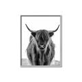 Picture of B&W Highland _GroupedProduct_Rectangle_Portrait_Photography _GroupedProduct_Rectangle_Portrait_Canvas_Framed_