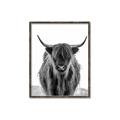 Picture of B&W Highland _GroupedProduct_Rectangle_Portrait_Photography _GroupedProduct_Rectangle_Portrait_Canvas_Framed_