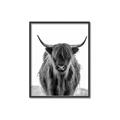 Picture of B&W Highland _GroupedProduct_Rectangle_Portrait_Photography _GroupedProduct_Rectangle_Portrait_Canvas_Framed_