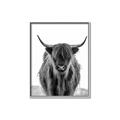 Picture of B&W Highland _GroupedProduct_Rectangle_Portrait_Photography _GroupedProduct_Rectangle_Portrait_Canvas_Framed_