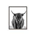 Picture of B&W Highland _GroupedProduct_Rectangle_Portrait_Photography _GroupedProduct_Rectangle_Portrait_Canvas_Framed_