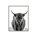 Picture of B&W Highland _GroupedProduct_Rectangle_Portrait_Photography _GroupedProduct_Rectangle_Portrait_Canvas_Framed_
