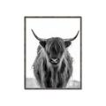 Picture of B&W Highland _GroupedProduct_Rectangle_Portrait_Photography _GroupedProduct_Rectangle_Portrait_Canvas_Framed_