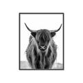 Picture of B&W Highland _GroupedProduct_Rectangle_Portrait_Photography _GroupedProduct_Rectangle_Portrait_Canvas_Framed_