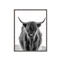 Picture of B&W Highland _GroupedProduct_Rectangle_Portrait_Photography _GroupedProduct_Rectangle_Portrait_Canvas_Framed_