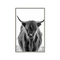 Picture of B&W Highland _GroupedProduct_Rectangle_Portrait_Photography _GroupedProduct_Rectangle_Portrait_Canvas_Framed_