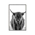 Picture of B&W Highland _GroupedProduct_Rectangle_Portrait_Photography _GroupedProduct_Rectangle_Portrait_Canvas_Framed_