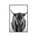 Picture of B&W Highland _GroupedProduct_Rectangle_Portrait_Photography _GroupedProduct_Rectangle_Portrait_Canvas_Framed_