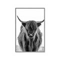 Picture of B&W Highland _GroupedProduct_Rectangle_Portrait_Photography _GroupedProduct_Rectangle_Portrait_Canvas_Framed_