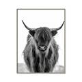 Picture of B&W Highland _GroupedProduct_Rectangle_Portrait_Photography _GroupedProduct_Rectangle_Portrait_Canvas_Framed_