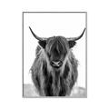 Picture of B&W Highland _GroupedProduct_Rectangle_Portrait_Photography _GroupedProduct_Rectangle_Portrait_Canvas_Framed_