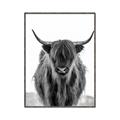 Picture of B&W Highland _GroupedProduct_Rectangle_Portrait_Photography _GroupedProduct_Rectangle_Portrait_Canvas_Framed_