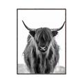 Picture of B&W Highland _GroupedProduct_Rectangle_Portrait_Photography _GroupedProduct_Rectangle_Portrait_Canvas_Framed_