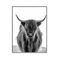 Picture of B&W Highland _GroupedProduct_Rectangle_Portrait_Photography _GroupedProduct_Rectangle_Portrait_Canvas_Framed_