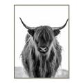 Picture of B&W Highland _GroupedProduct_Rectangle_Portrait_Photography _GroupedProduct_Rectangle_Portrait_Canvas_Framed_