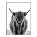 Picture of B&W Highland _GroupedProduct_Rectangle_Portrait_Photography _GroupedProduct_Rectangle_Portrait_Canvas_Framed_