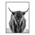 Picture of B&W Highland _GroupedProduct_Rectangle_Portrait_Photography _GroupedProduct_Rectangle_Portrait_Canvas_Framed_