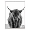 Picture of B&W Highland _GroupedProduct_Rectangle_Portrait_Photography _GroupedProduct_Rectangle_Portrait_Canvas_Framed_