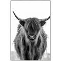 Picture of B&W Highland _GroupedProduct_Rectangle_Portrait_Photography _GroupedProduct_Rectangle_Portrait_Canvas_Framed_
