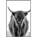 Picture of B&W Highland _GroupedProduct_Rectangle_Portrait_Photography _GroupedProduct_Rectangle_Portrait_Canvas_Framed_