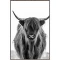 Picture of B&W Highland _GroupedProduct_Rectangle_Portrait_Photography _GroupedProduct_Rectangle_Portrait_Canvas_Framed_