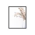 Picture of Nautral Eucalyptus  _GroupedProduct_Rectangle_Portrait_Photography _GroupedProduct_Rectangle_Portrait_Canvas_Framed_
