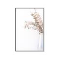 Picture of Nautral Eucalyptus  _GroupedProduct_Rectangle_Portrait_Photography _GroupedProduct_Rectangle_Portrait_Canvas_Framed_