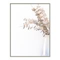 Picture of Nautral Eucalyptus  _GroupedProduct_Rectangle_Portrait_Photography _GroupedProduct_Rectangle_Portrait_Canvas_Framed_