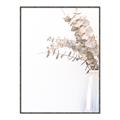 Picture of Nautral Eucalyptus  _GroupedProduct_Rectangle_Portrait_Photography _GroupedProduct_Rectangle_Portrait_Canvas_Framed_