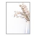Picture of Nautral Eucalyptus  _GroupedProduct_Rectangle_Portrait_Photography _GroupedProduct_Rectangle_Portrait_Canvas_Framed_
