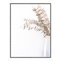 Picture of Nautral Eucalyptus  _GroupedProduct_Rectangle_Portrait_Photography _GroupedProduct_Rectangle_Portrait_Canvas_Framed_