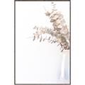 Picture of Nautral Eucalyptus  _GroupedProduct_Rectangle_Portrait_Photography _GroupedProduct_Rectangle_Portrait_Canvas_Framed_