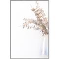 Picture of Nautral Eucalyptus  _GroupedProduct_Rectangle_Portrait_Photography _GroupedProduct_Rectangle_Portrait_Canvas_Framed_