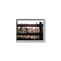 Picture of Farm Fence _GroupedProduct_Rectangle_Landscape_Photography _GroupedProduct_Rectangle_Landscape_Canvas_Framed_
