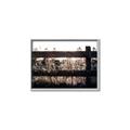 Picture of Farm Fence _GroupedProduct_Rectangle_Landscape_Photography _GroupedProduct_Rectangle_Landscape_Canvas_Framed_