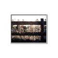 Picture of Farm Fence _GroupedProduct_Rectangle_Landscape_Photography _GroupedProduct_Rectangle_Landscape_Canvas_Framed_