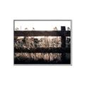 Picture of Farm Fence _GroupedProduct_Rectangle_Landscape_Photography _GroupedProduct_Rectangle_Landscape_Canvas_Framed_