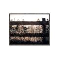Picture of Farm Fence _GroupedProduct_Rectangle_Landscape_Photography _GroupedProduct_Rectangle_Landscape_Canvas_Framed_