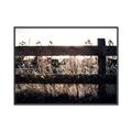 Picture of Farm Fence _GroupedProduct_Rectangle_Landscape_Photography _GroupedProduct_Rectangle_Landscape_Canvas_Framed_