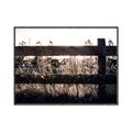 Picture of Farm Fence _GroupedProduct_Rectangle_Landscape_Photography _GroupedProduct_Rectangle_Landscape_Canvas_Framed_