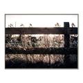 Picture of Farm Fence _GroupedProduct_Rectangle_Landscape_Photography _GroupedProduct_Rectangle_Landscape_Canvas_Framed_