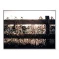 Picture of Farm Fence _GroupedProduct_Rectangle_Landscape_Photography _GroupedProduct_Rectangle_Landscape_Canvas_Framed_