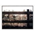 Picture of Farm Fence _GroupedProduct_Rectangle_Landscape_Photography _GroupedProduct_Rectangle_Landscape_Canvas_Framed_