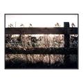 Picture of Farm Fence _GroupedProduct_Rectangle_Landscape_Photography _GroupedProduct_Rectangle_Landscape_Canvas_Framed_