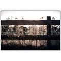 Picture of Farm Fence _GroupedProduct_Rectangle_Landscape_Photography _GroupedProduct_Rectangle_Landscape_Canvas_Framed_