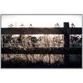 Picture of Farm Fence _GroupedProduct_Rectangle_Landscape_Photography _GroupedProduct_Rectangle_Landscape_Canvas_Framed_